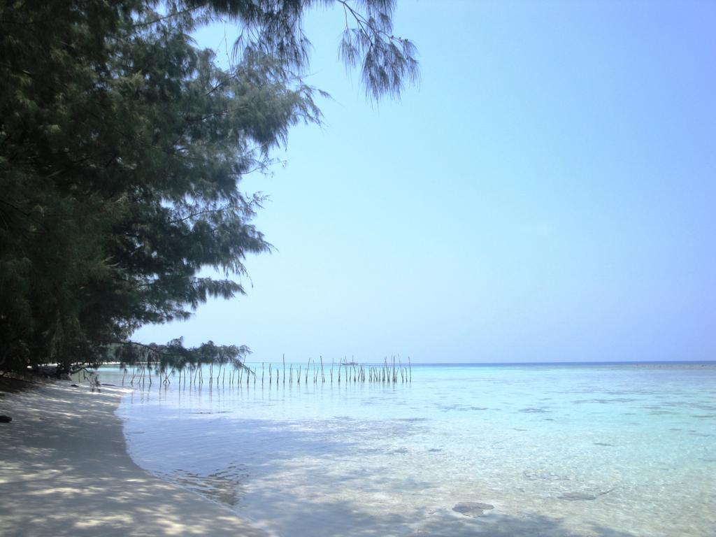 Menjangan Resort Karimunjawa Pokoj fotografie